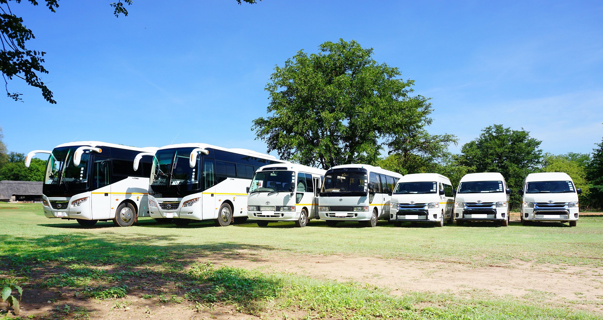 victoria falls transfers